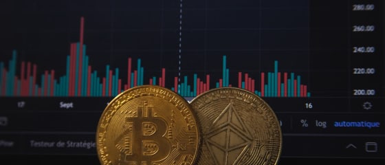 Perjudian Bitcoin Meningkat Setelah Pengumuman PayPal Terbaru