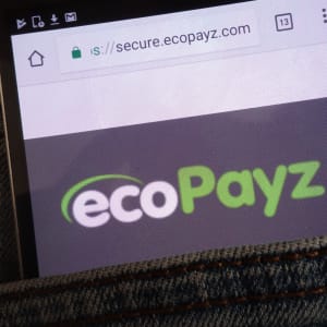 Ecopayz untuk Deposit dan Penarikan Kasino Online